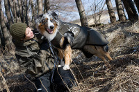 Hurtta performance dog gear