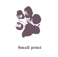 Small Print