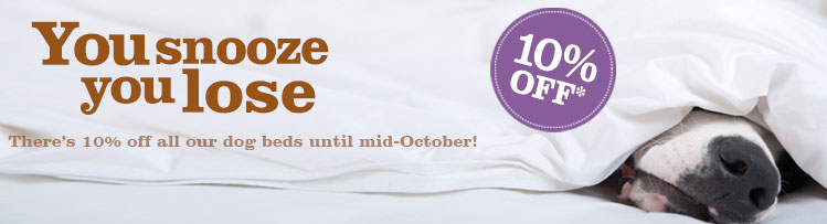 10% off dog beds during October