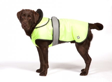 2 in 1 Waterproof Coat