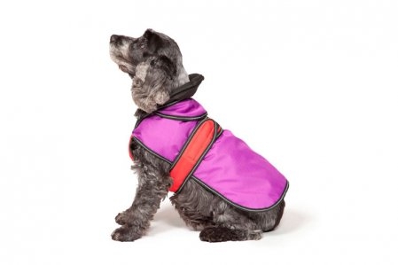 2 in 1 Waterproof Coat