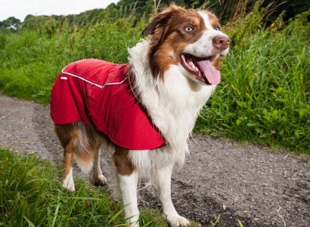Aira Jacket - Free Beacon Offer!