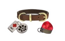 All Collars & Tags