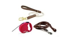 All Leads & Leashes