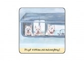 Caravanning Coaster