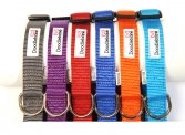 Bold Nylon Collar