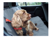 Waterproof Dog Car Seat Cover