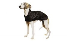 Greyhound & Whippet Coats