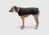 Harness Dog Coat