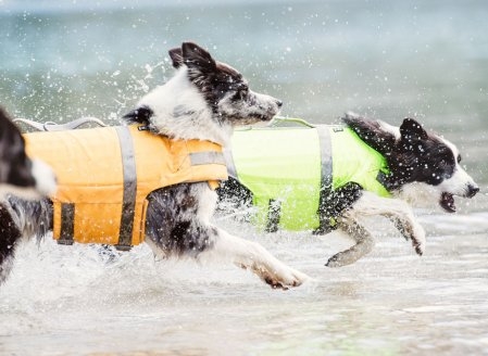 2016 Outdoors Premium Life Jacket