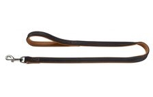 Leather Dog Leads