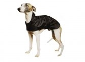 Greyhound / Whippet Coat
