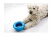 Non-Splash Water Bowl