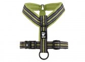 2015 Padded Y Harness