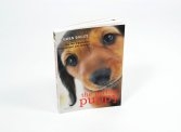 The Perfect Puppy by Gwen Bailey