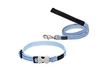 Puppy Collars & Leads