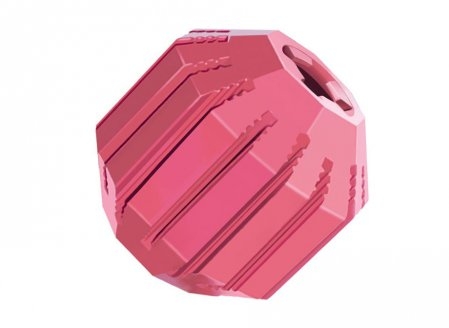 Puppy Activity Ball