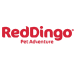 Red Dingo