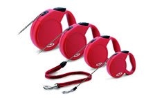 Retractable Leads