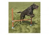 Agility Hurdle