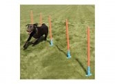 Agility Slalom