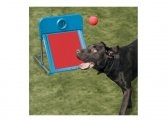 Agility Flyball Set
