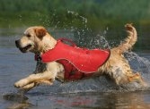 Surf n' Turf Coat