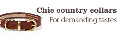 Chic country leads