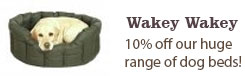 10% Off Dog Beds in October