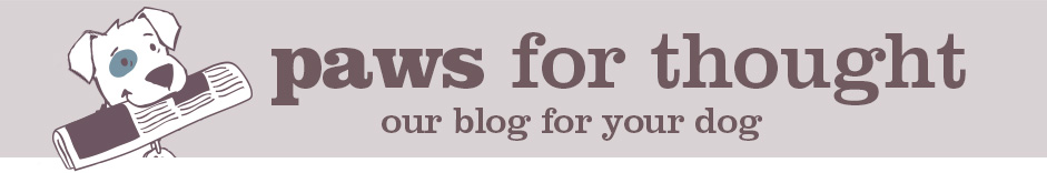 Blog Banner